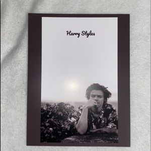 Harry Styles poster